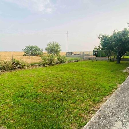 הוילה Scardovari “Casa Alex” A Pochi Km Dal Mare מראה חיצוני תמונה