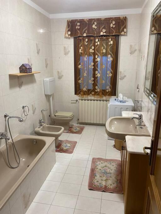 הוילה Scardovari “Casa Alex” A Pochi Km Dal Mare מראה חיצוני תמונה