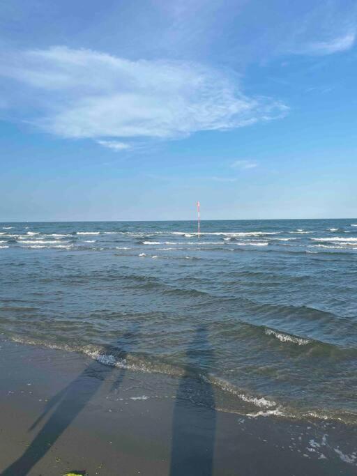 הוילה Scardovari “Casa Alex” A Pochi Km Dal Mare מראה חיצוני תמונה